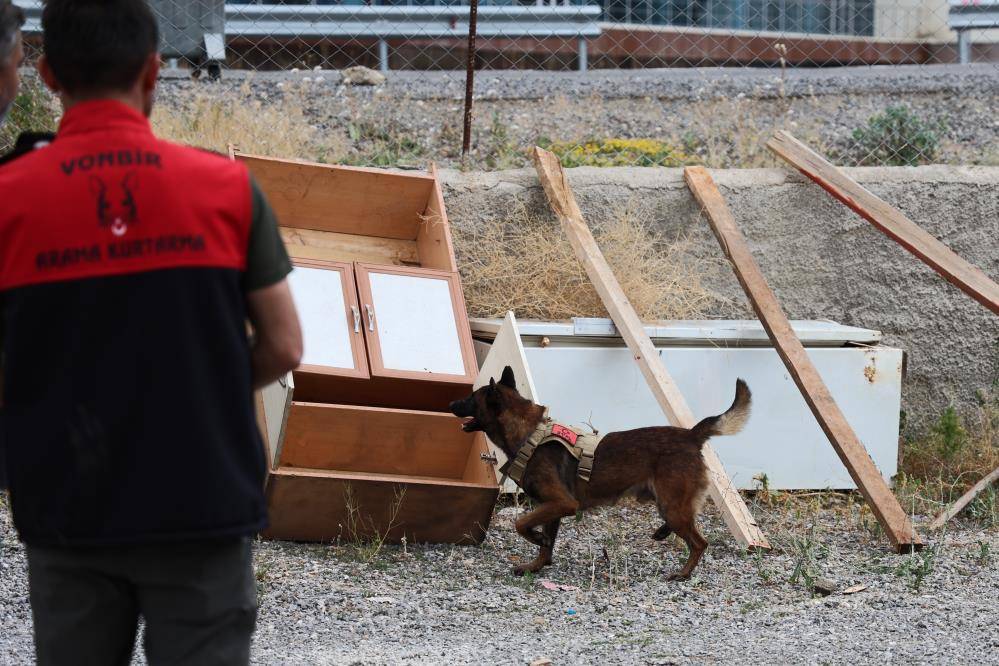 Konya’da zorlu eğitimden geçirilen köpekler afetlerde görev alıyor 1